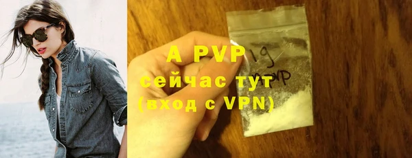 ECSTASY Майский