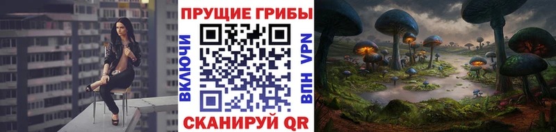 площадка состав  ссылка на мегу как войти  Спас-Клепики  сколько стоит  Псилоцибиновые грибы Psilocybine cubensis 